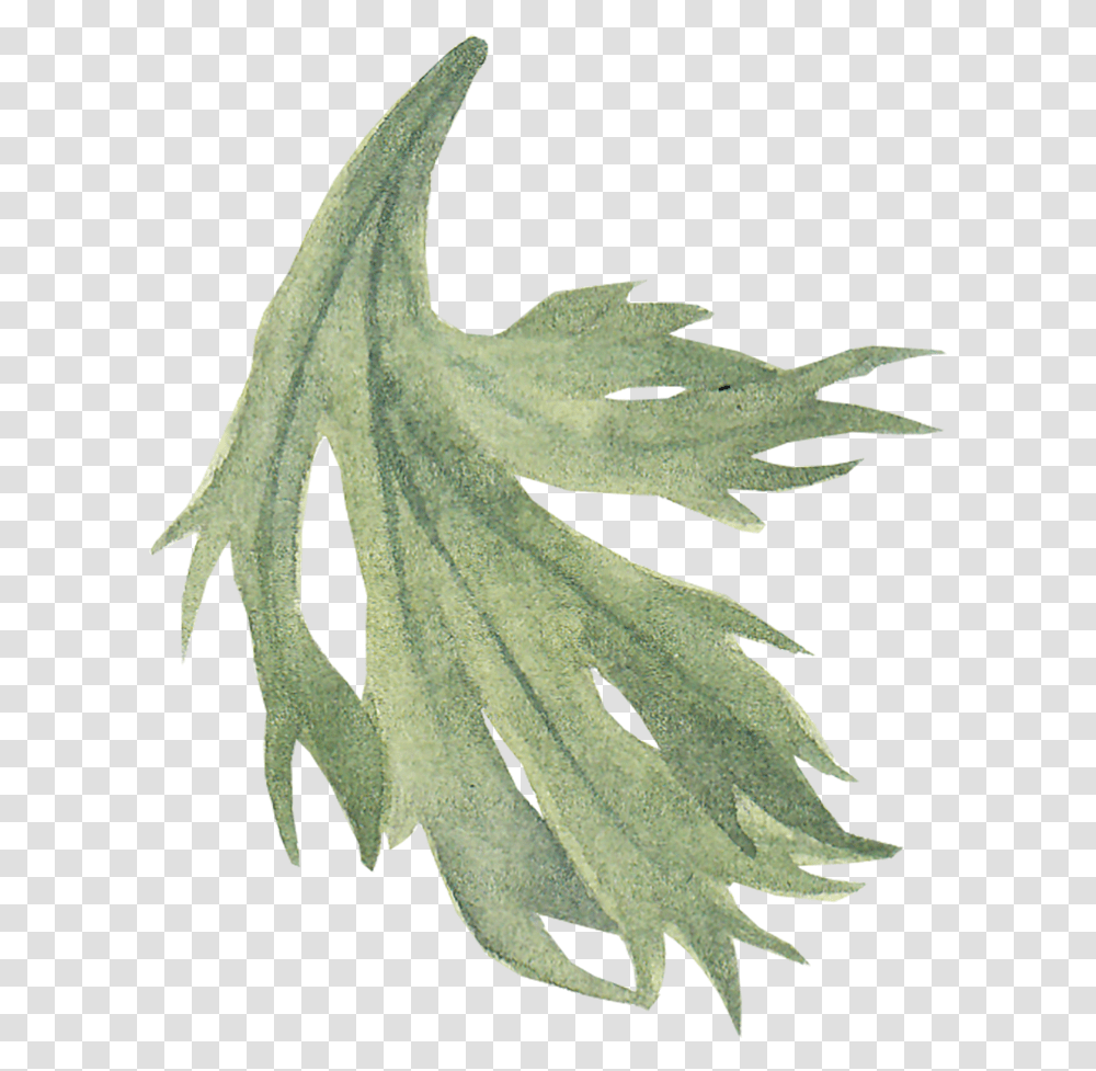 Anemone Leaf Icon By We Studio Cow Parsnip, Plant, Vase, Jar, Pottery Transparent Png