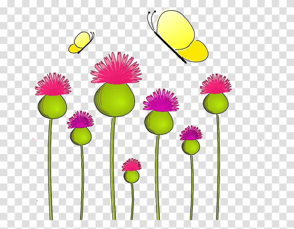 Anemone Nature Thistle Lady Wild Plant Flora Activity For English Writing, Flower, Blossom, Petal, Daisy Transparent Png