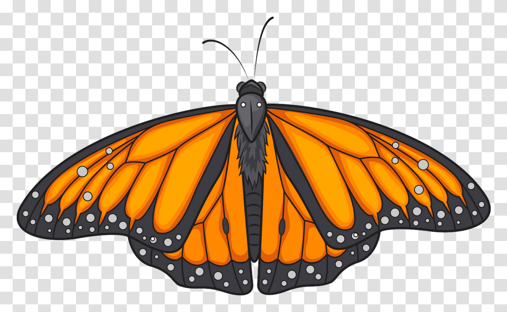 Angangueo, Butterfly, Insect, Invertebrate, Animal Transparent Png