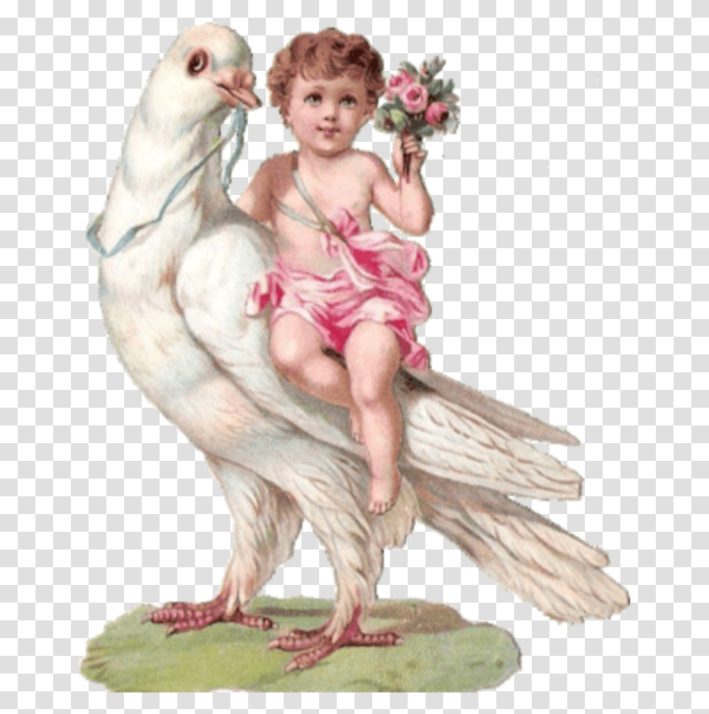 Angel Aesthetic Bird Flowers Painting Freetoedit Victorian Scrap Child Bird, Person, Figurine, Animal Transparent Png