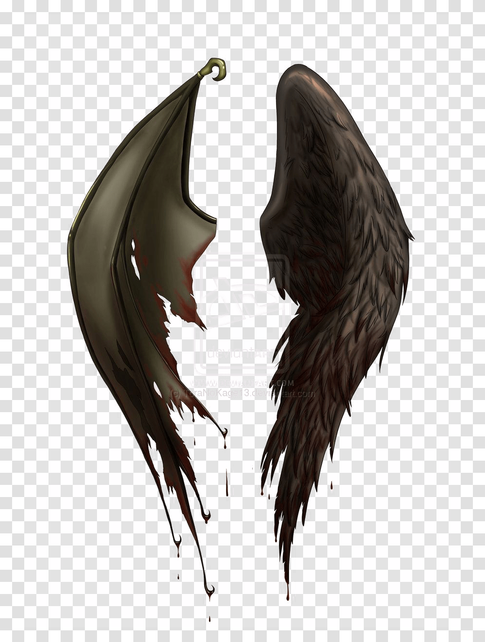 Angel And Devil Wings, Apparel, Bird, Animal Transparent Png