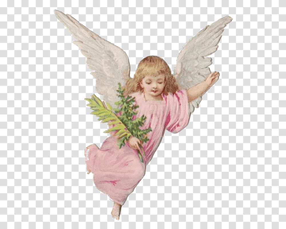Angel Angelpng Cherub Angelaesthetic Cherubaesthetic Angel, Person, Human Transparent Png