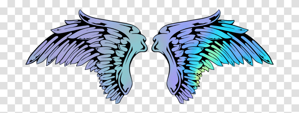 Angel Angels Wings Wing Angelwings Anatomical Heart, Bird, Animal, Eagle Transparent Png