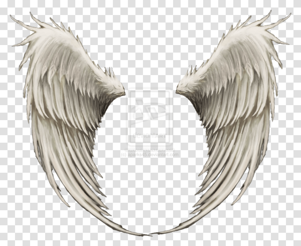 Angel Background Of Wings, Chicken, Poultry, Fowl, Bird Transparent Png