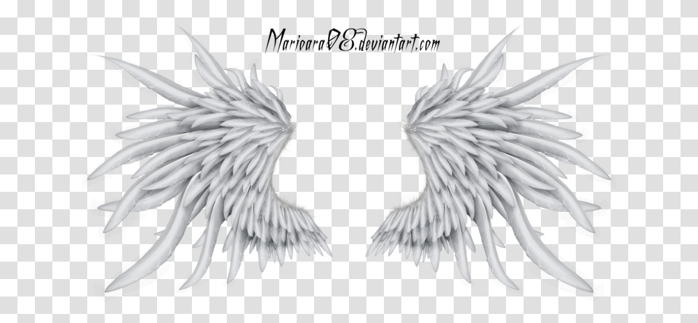 Angel, Bird, Animal, Paper Transparent Png