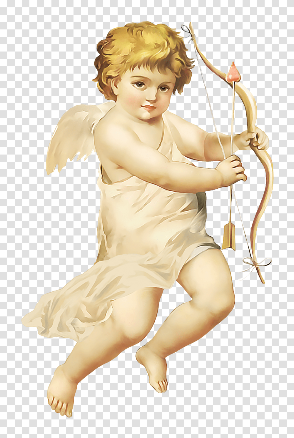 Angel, Fantasy, Cupid, Person, Human Transparent Png