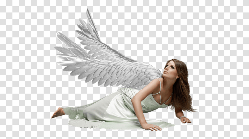 Angel Female, Bird, Animal, Person Transparent Png