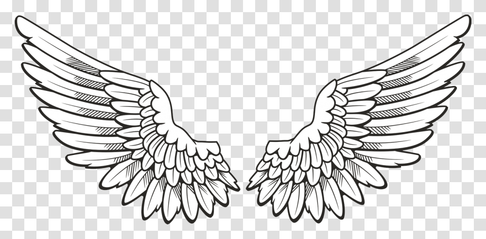 Angel Halo Wings Free Download, Religion, Eagle, Bird, Animal Transparent Png