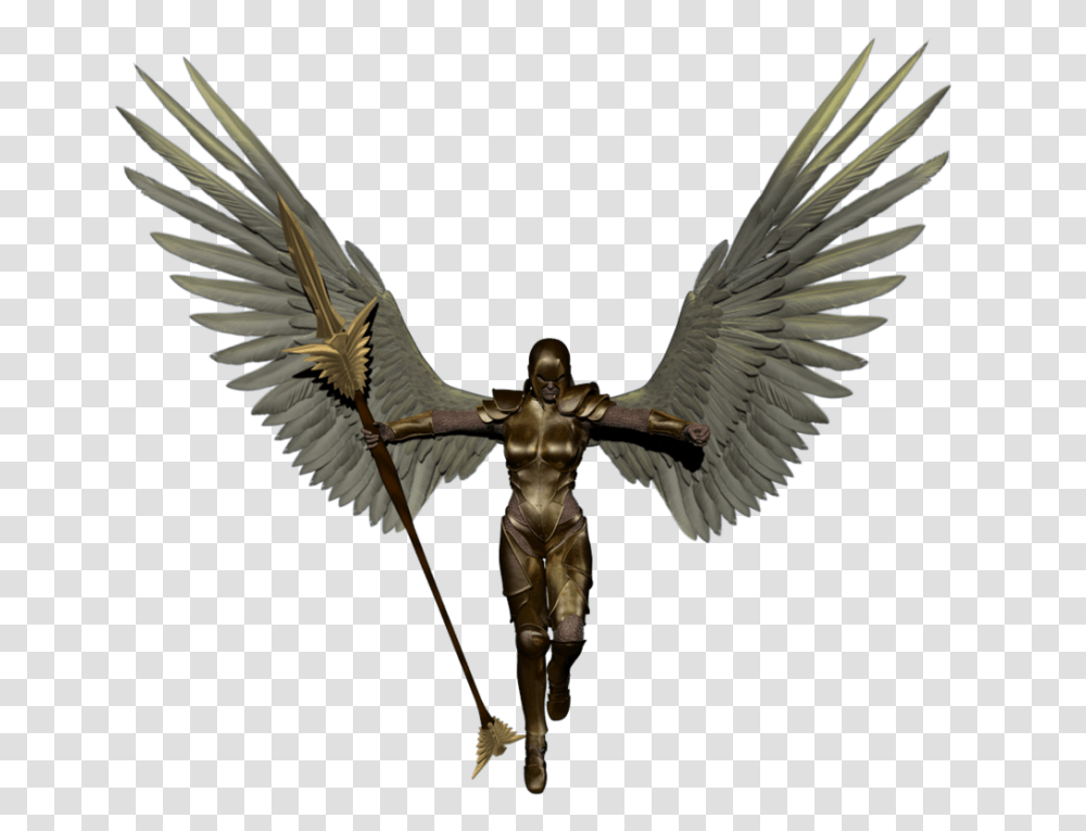 Angel Images Free Download, Bird, Animal, Emblem Transparent Png