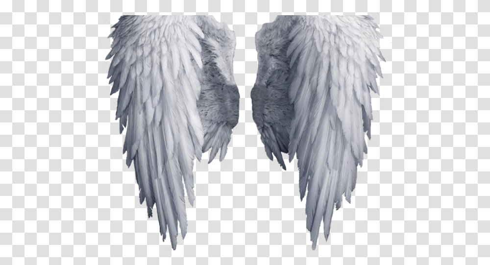 Angel Outline White Angel Wings, Bird, Animal, Art, Waterfowl Transparent Png