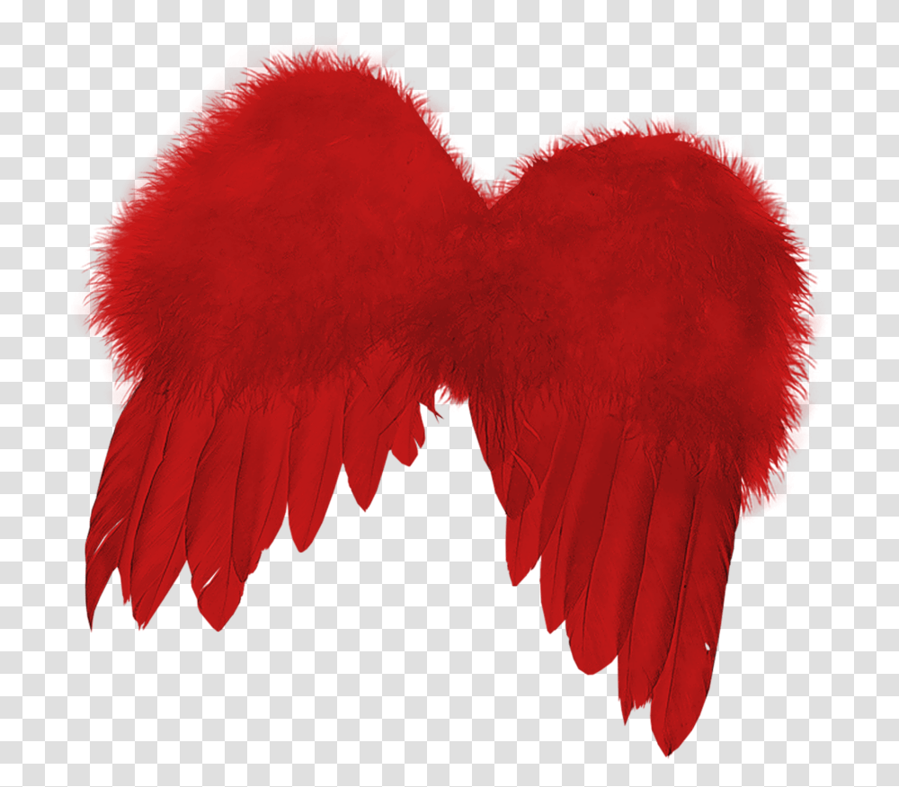 Angel Wing, Bird, Animal, Heart, Flamingo Transparent Png