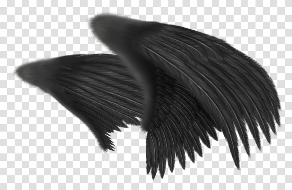 Angel Wing Clip Art Side View Angel Wings, Bird, Animal, Waterfowl, Flying Transparent Png