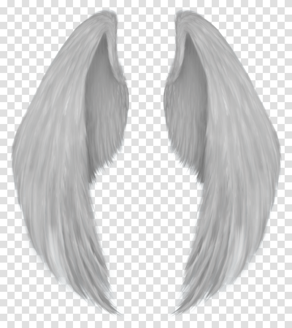 Angel Wing Drawing Angel Wings, Hair, Wig Transparent Png