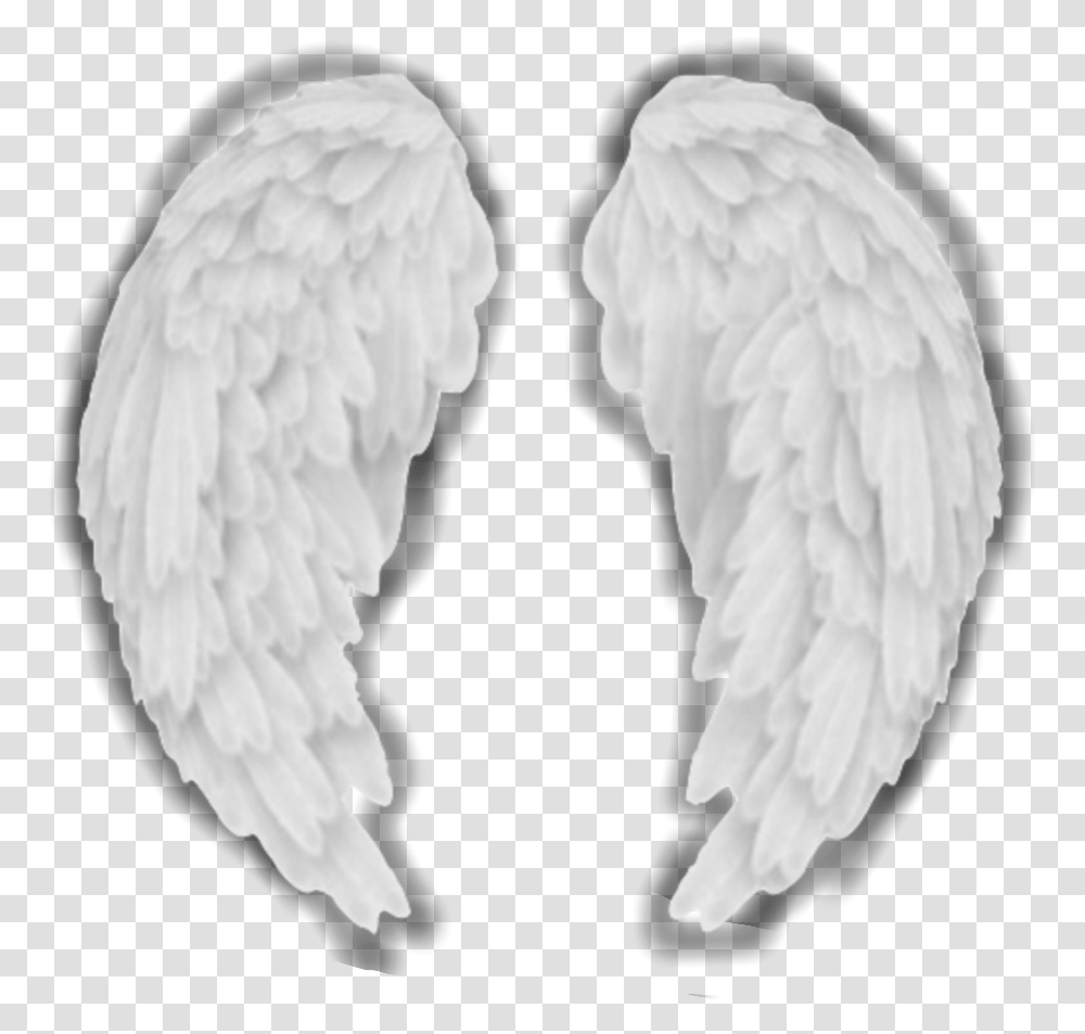 Angel Wings Aesthetic White Complex Edit Complexedit Pigeons And Doves, Sculpture, Accessories, Accessory Transparent Png
