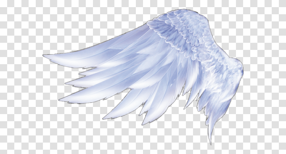 Angel Wings Angel Wings Feather Angel Wings From The Side, Bird, Animal, Archangel Transparent Png