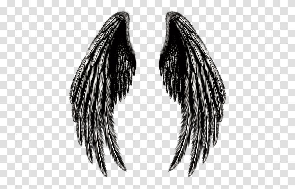 Angel Wings Angelwings Blackandwhite Pink Angel Wings, Archangel, Blackbird, Animal Transparent Png