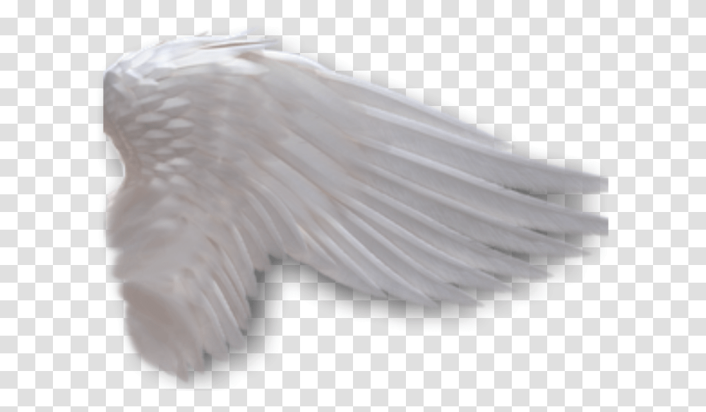 Angel Wings Anime Side View Download Side View Angel Wing Background, Bird, Animal, Dove, Pigeon Transparent Png