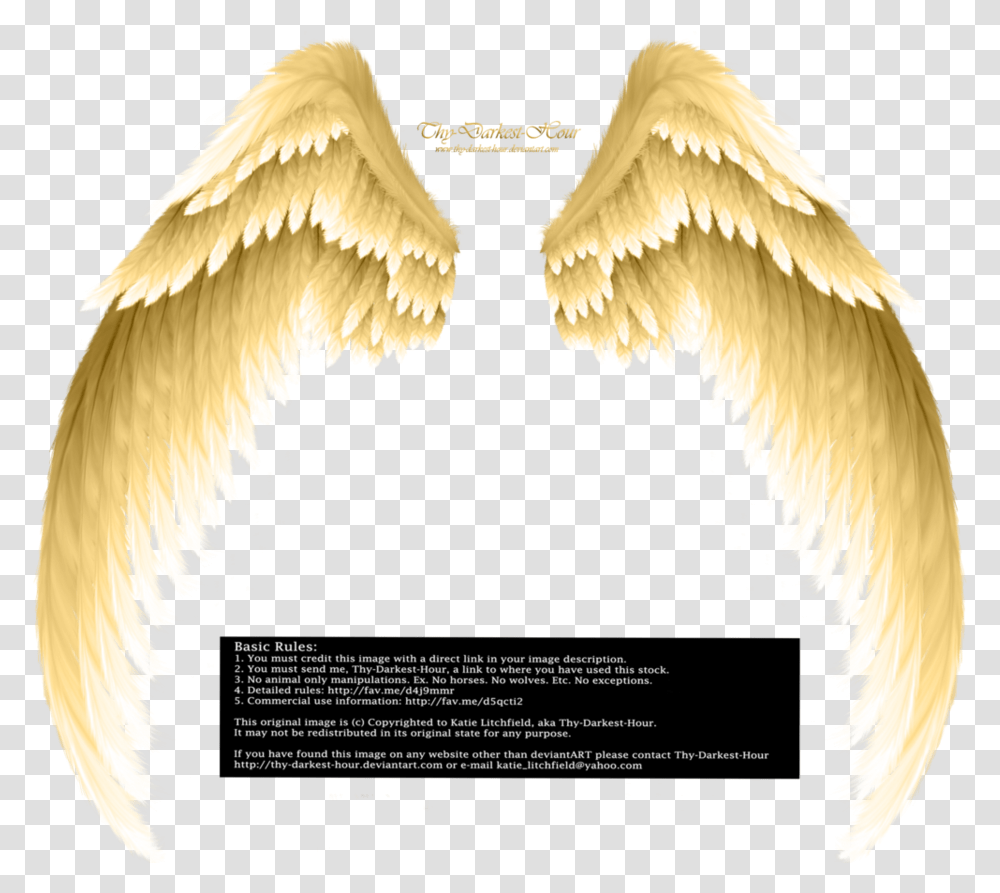 Angel Wings, Archangel Transparent Png
