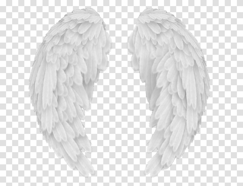 Angel Wings Baby Angel Wings Background Background Angel Wings, Bird, Animal, Plant Transparent Png
