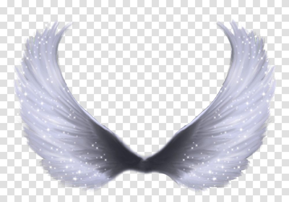 Angel Wings, Bird, Animal, Archangel Transparent Png