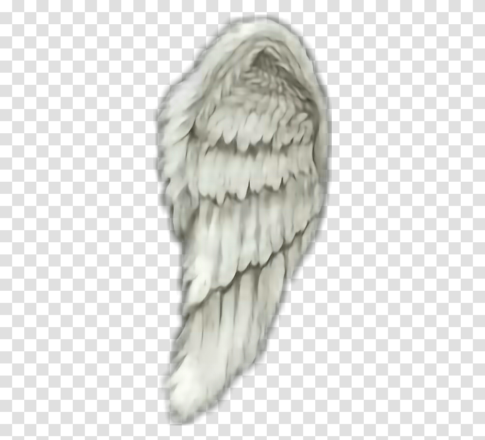 Angel Wings, Bird, Animal, Owl Transparent Png