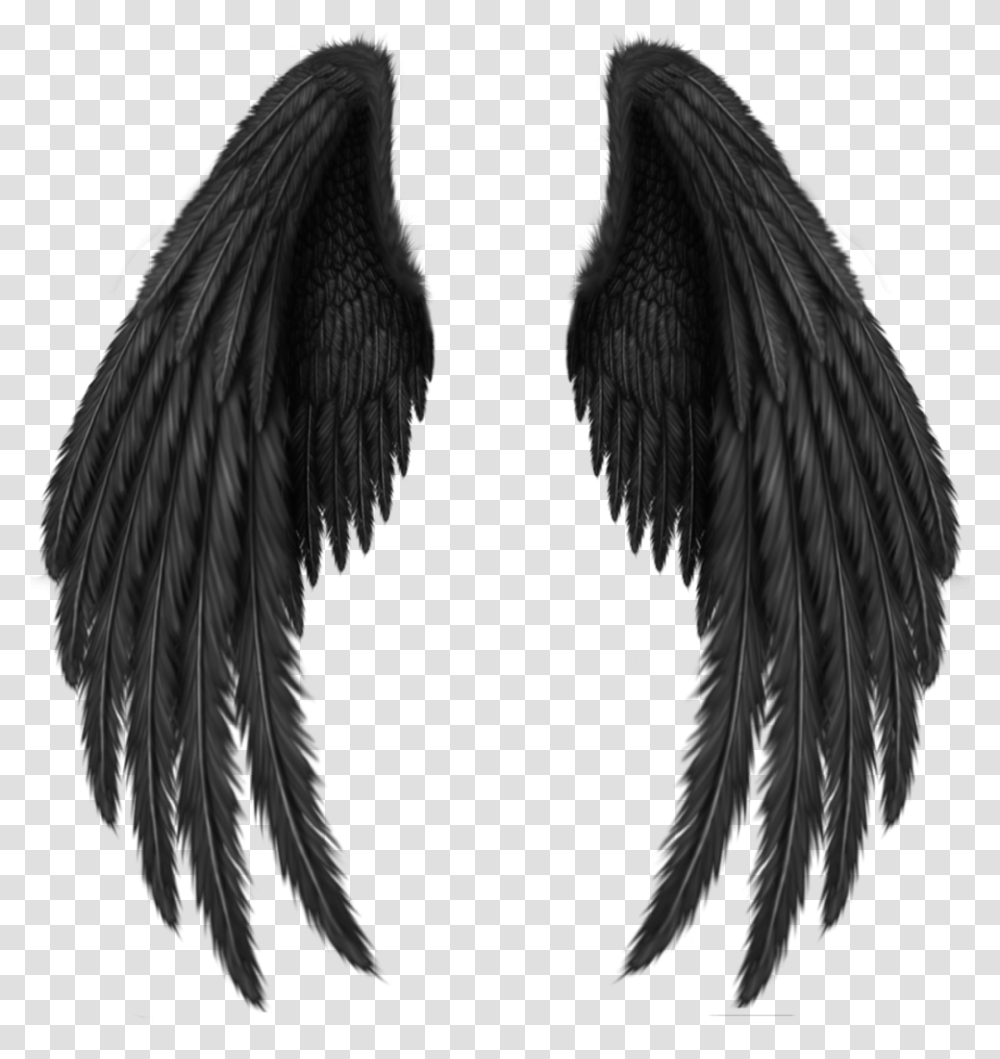 Angel Wings Black, Apparel, Bird Transparent Png