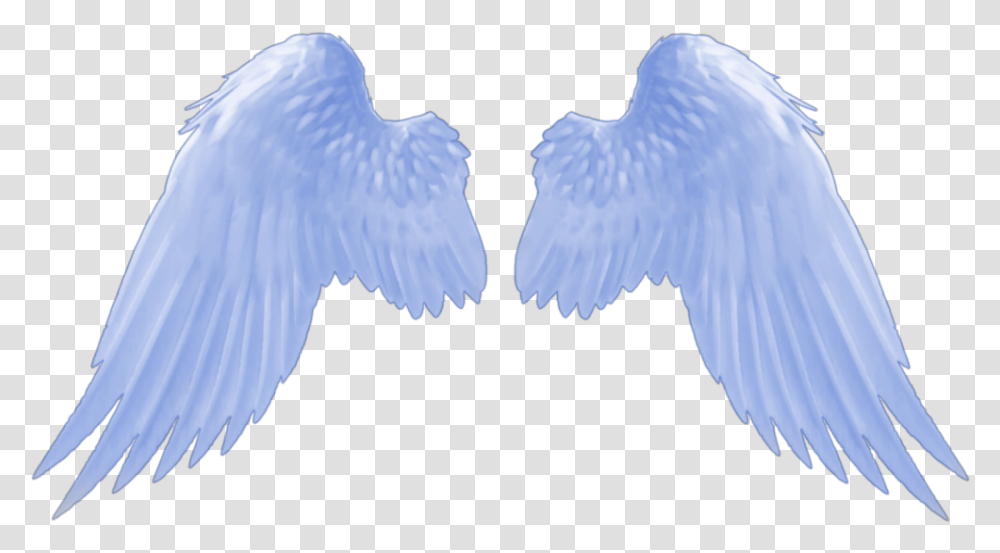 Angel Wings Blue Bluewings Angelwings Angel Wings Gif, Bird, Animal, Archangel Transparent Png