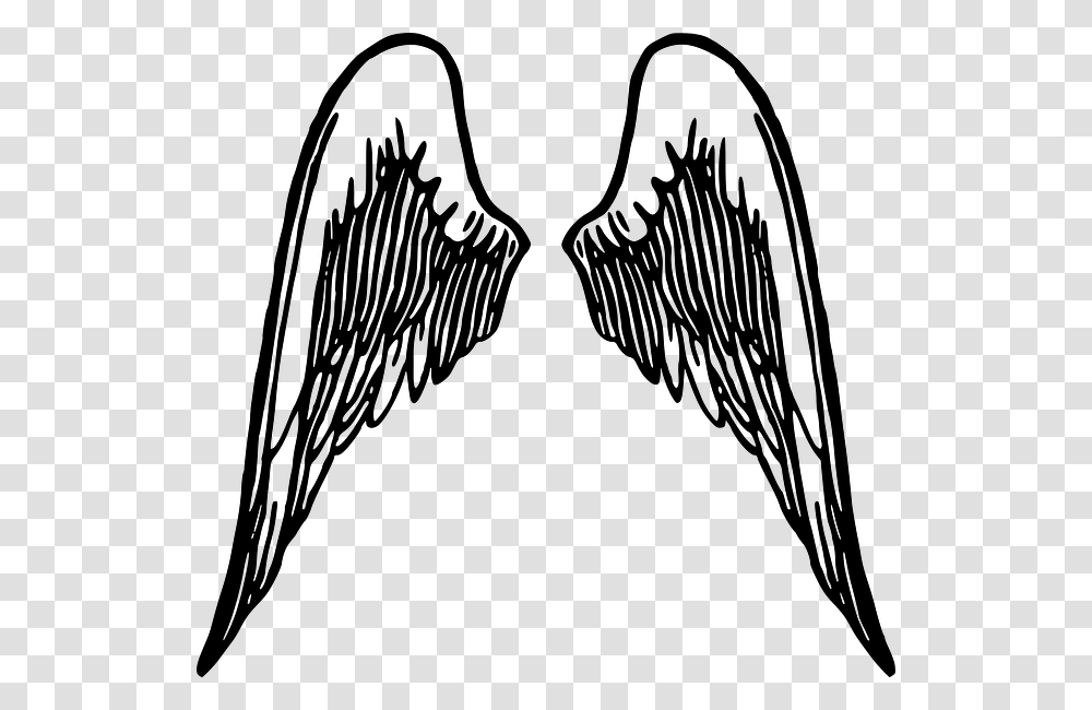 Angel Wings Clip Art Background, Gray, World Of Warcraft Transparent Png