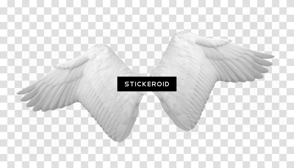 Angel Wings Clipart Angel Wings, Bird, Animal, Cushion, Swan Transparent Png