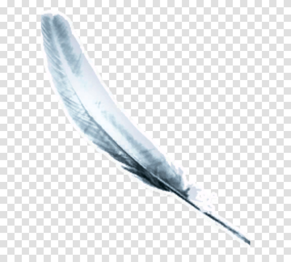 Angel Wings Darkness, Weapon, Weaponry, Blade, Animal Transparent Png