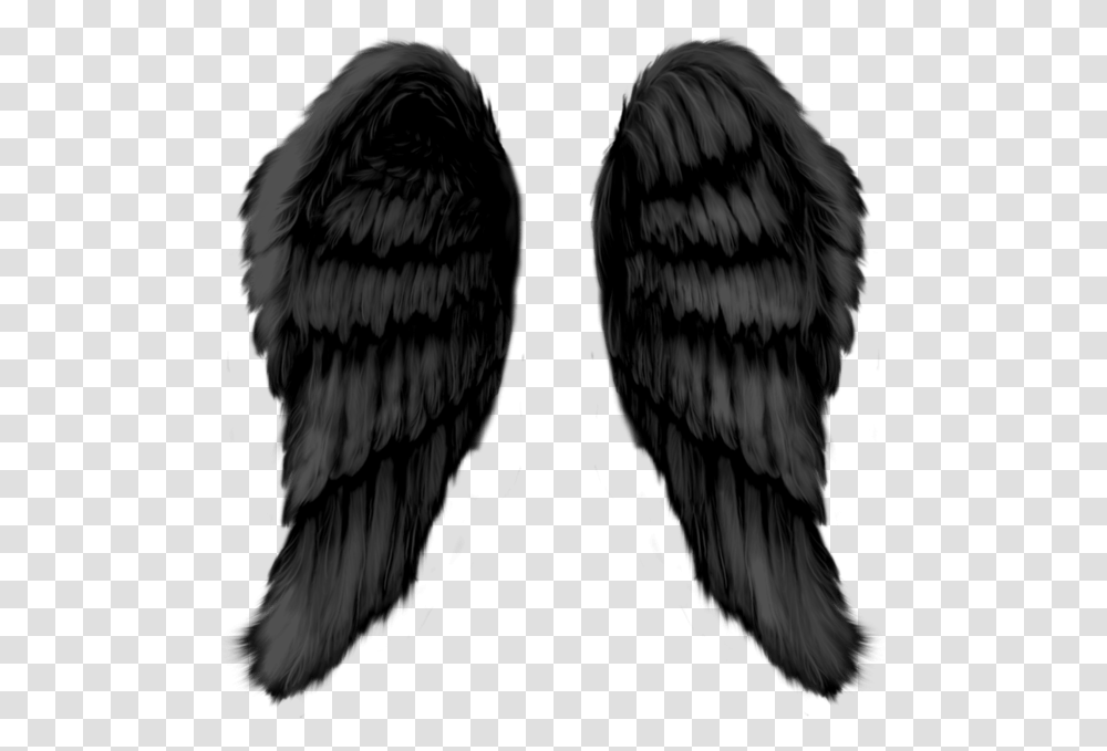 Angel Wings Download Monochrome, Bird, Animal, Eagle, Waterfowl Transparent Png