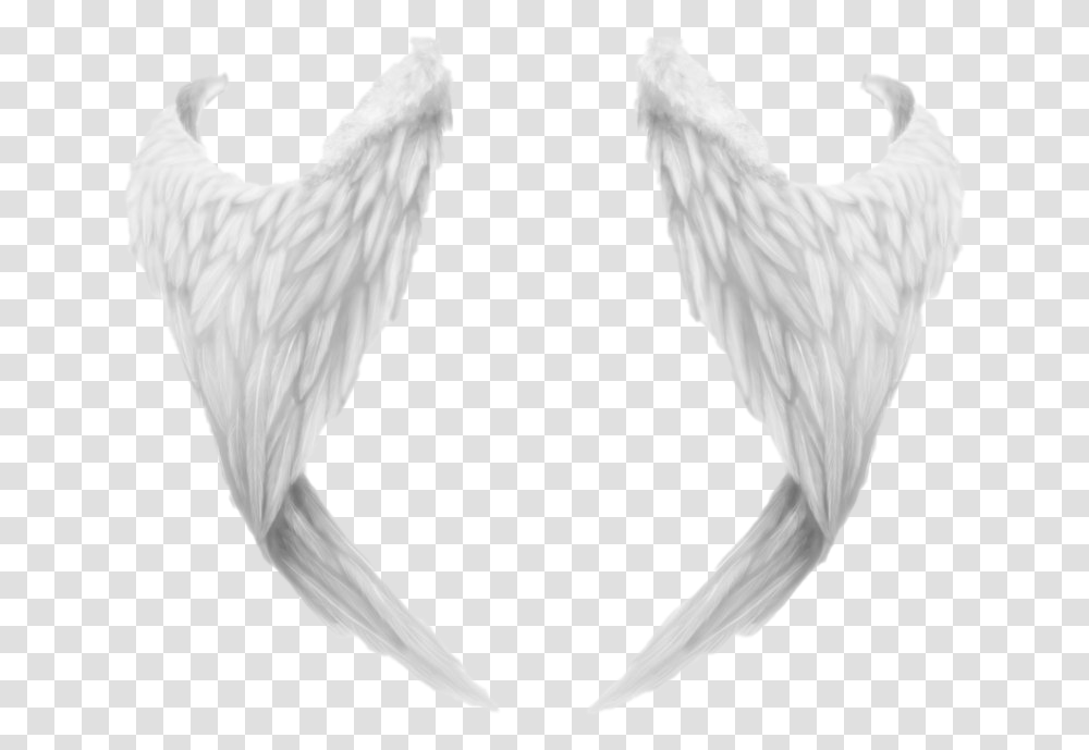 Angel Wings File, Plastic Bag, Animal, Bird, Arrowhead Transparent Png