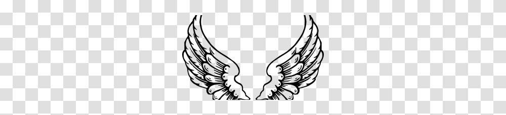 Angel Wings, Gray, World Of Warcraft Transparent Png