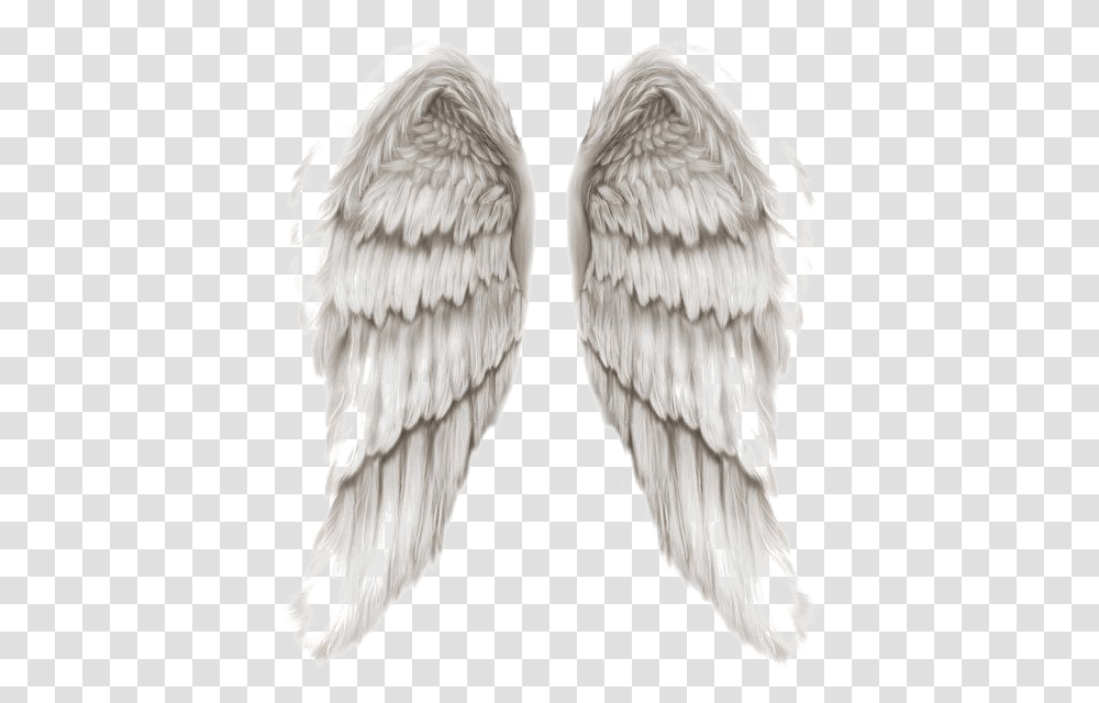 Angel Wings Image Angels Of God Wings, Bird, Animal, Archangel Transparent Png