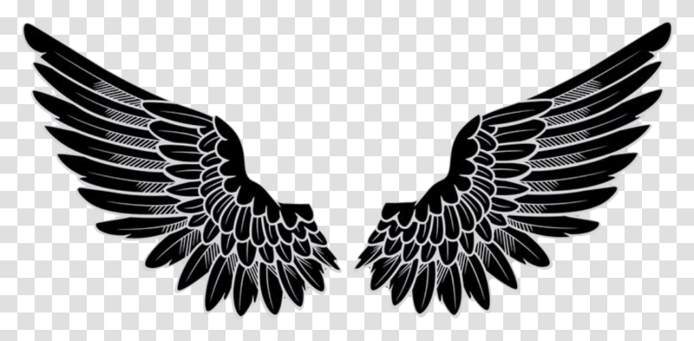 Angel Wings Logo, Eagle, Bird, Animal Transparent Png