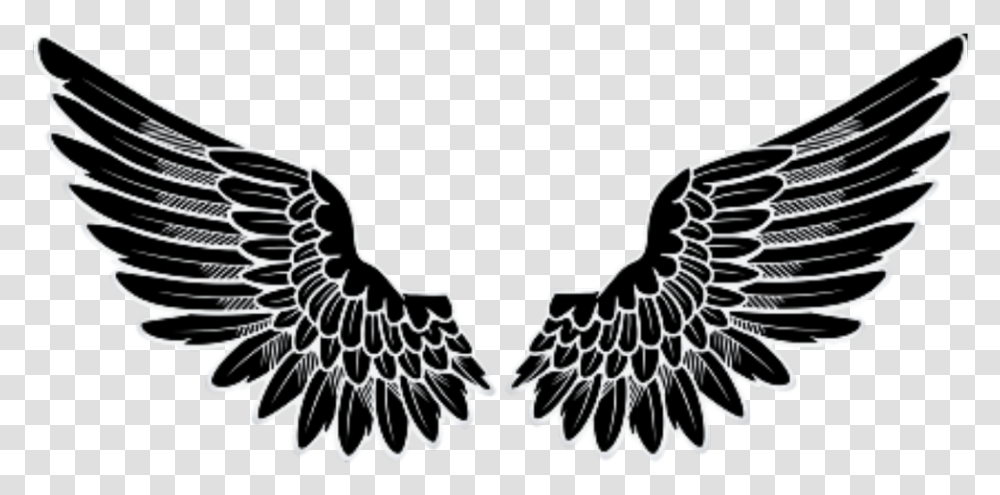 Angel Wings Logo, Eagle, Bird, Animal Transparent Png