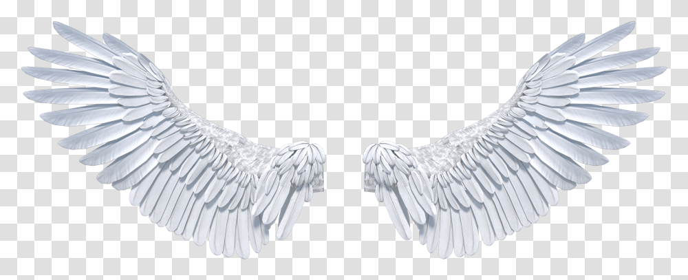 Angel Wings Opening Front 1 4k Angel Wings, Animal, Waterfowl, Bird, Eagle Transparent Png