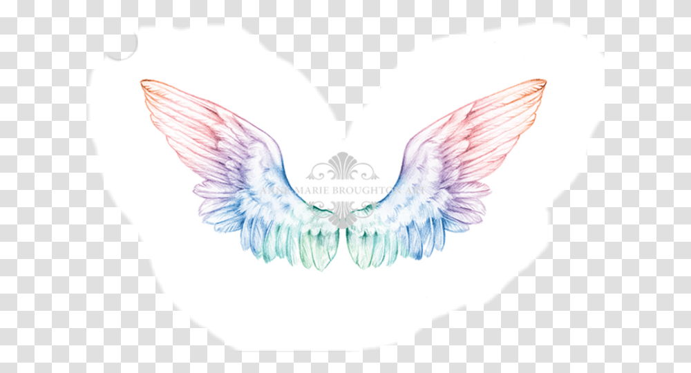 Angel Wings Pencil Drawing Drawing, Bird, Animal, Cushion Transparent Png