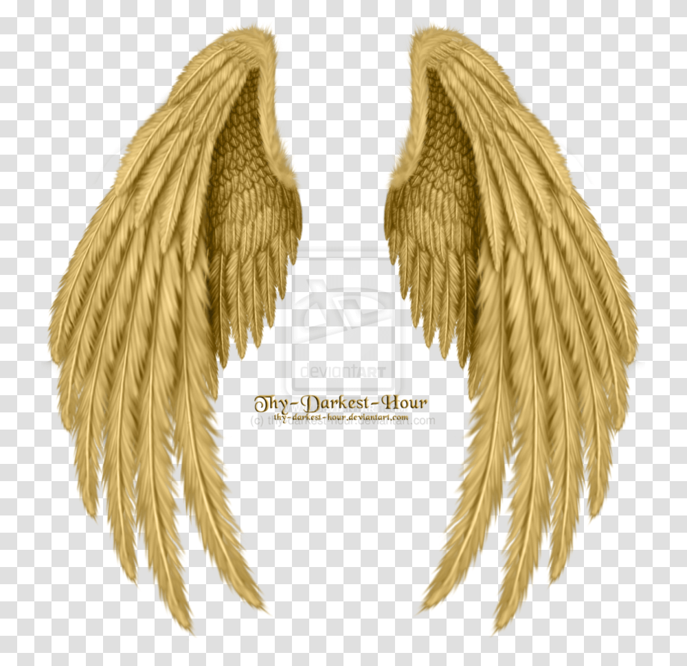 Angel Wings Realistic Angel Wings Drawing, Animal, Archangel Transparent Png