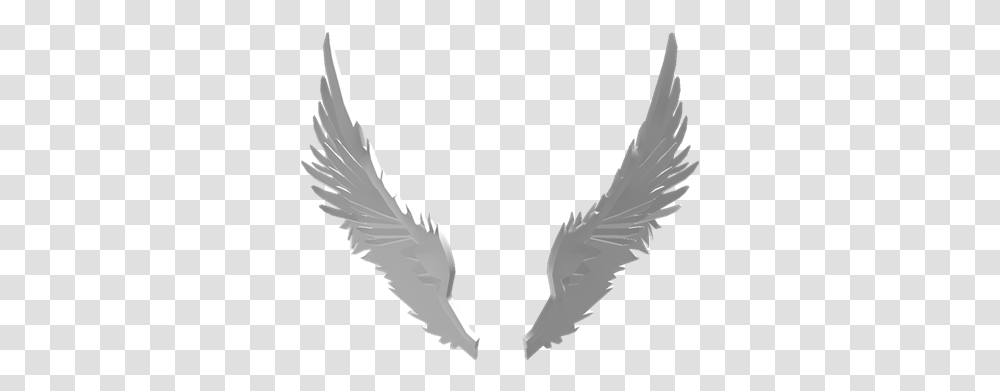 Angel Wings Roblox Wings Avatar, Animal, Bird, Eagle, Vulture Transparent Png