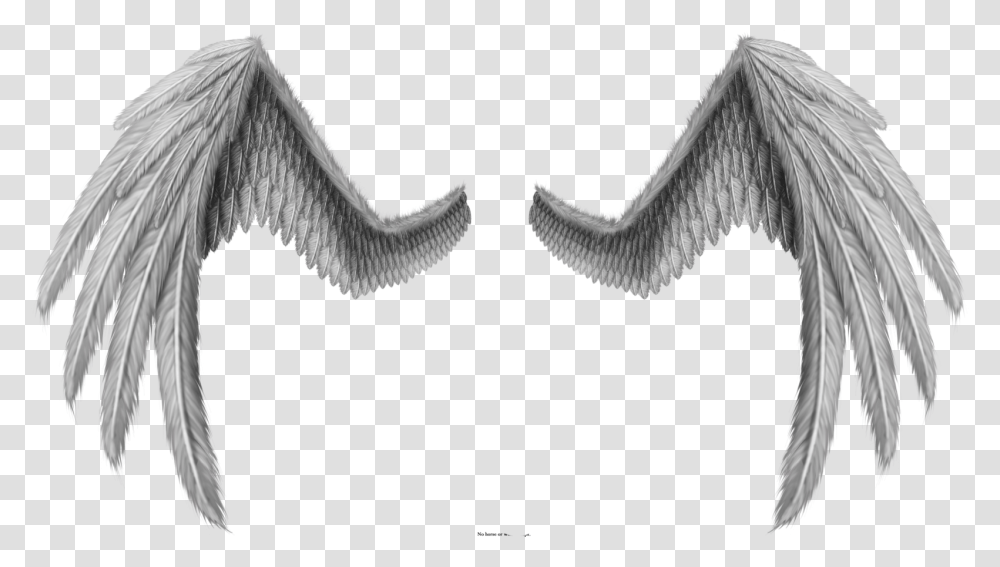 Angel Wings Side Profile Set Of 4 Gold Dresden Wings Wings For Photoshop, Bird, Animal, Vulture Transparent Png