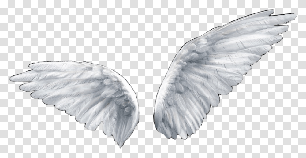 Angel Wings Sticker Overlay Aesthetic Freetoedit Angel Wings Background, Bird, Animal, Waterfowl Transparent Png