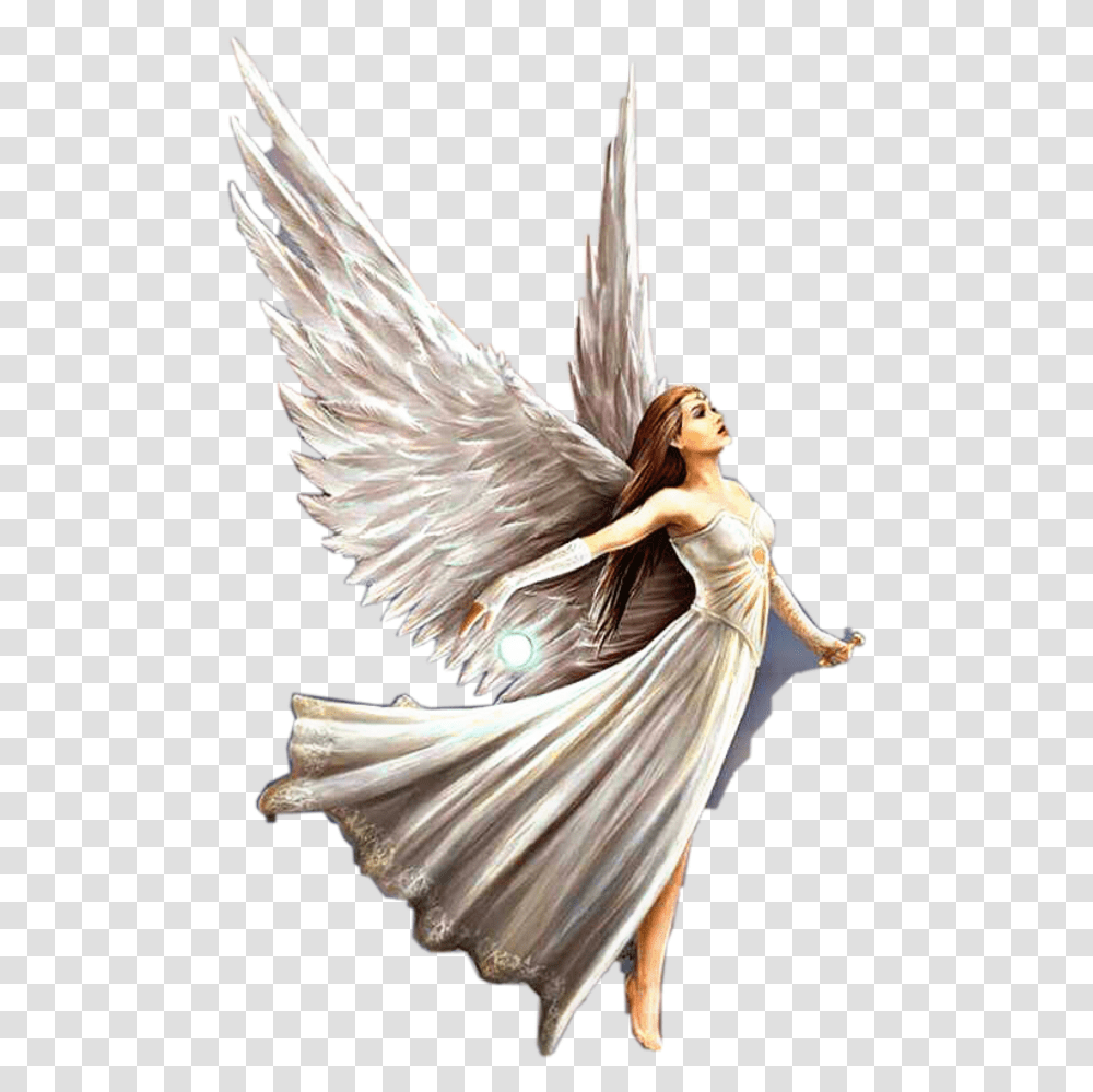 Angel Wings Wingsangel Angeles Alas Alasdeangeles, Archangel, Bird, Animal Transparent Png