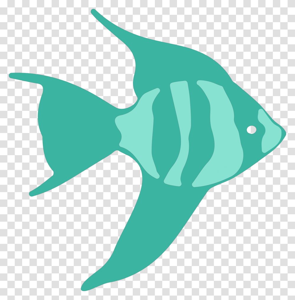 Angelfish, Animal, Sea Life, Shark Transparent Png