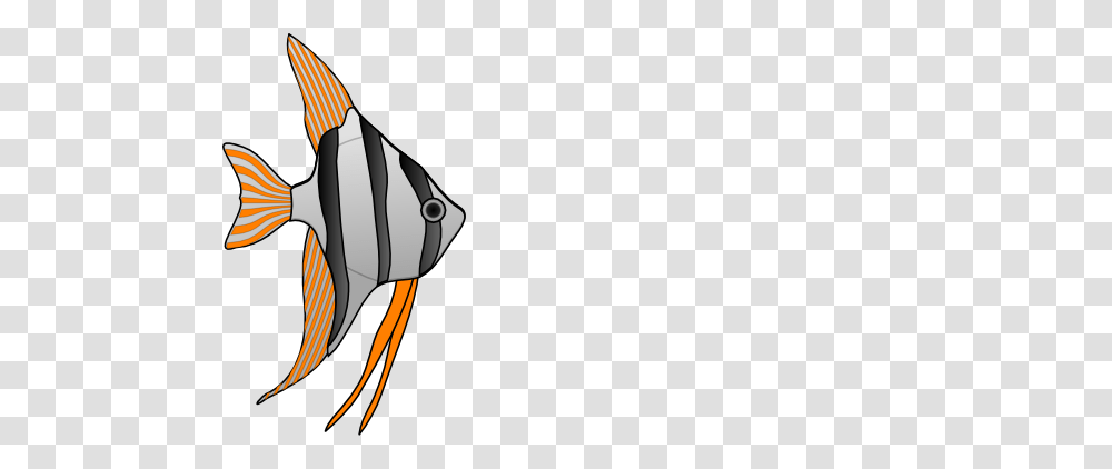 Angelfish Clipart Orange Fish, Sea Life, Animal, Bird, Beak Transparent Png