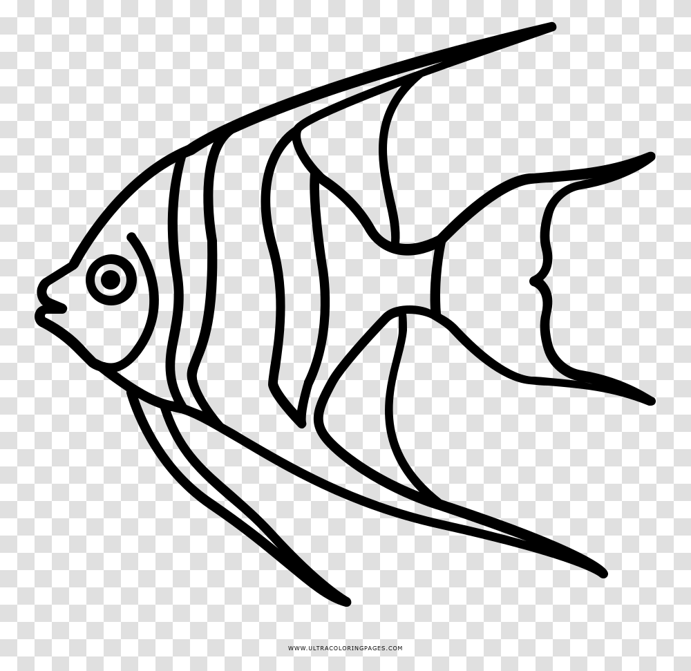 Angelfish Coloring, Gray, World Of Warcraft Transparent Png