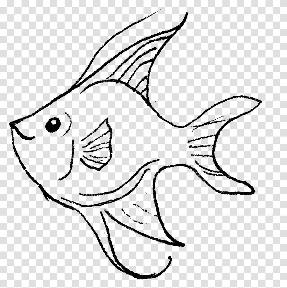 Angelfish Download Coral Reef Fish, Gray, World Of Warcraft Transparent Png