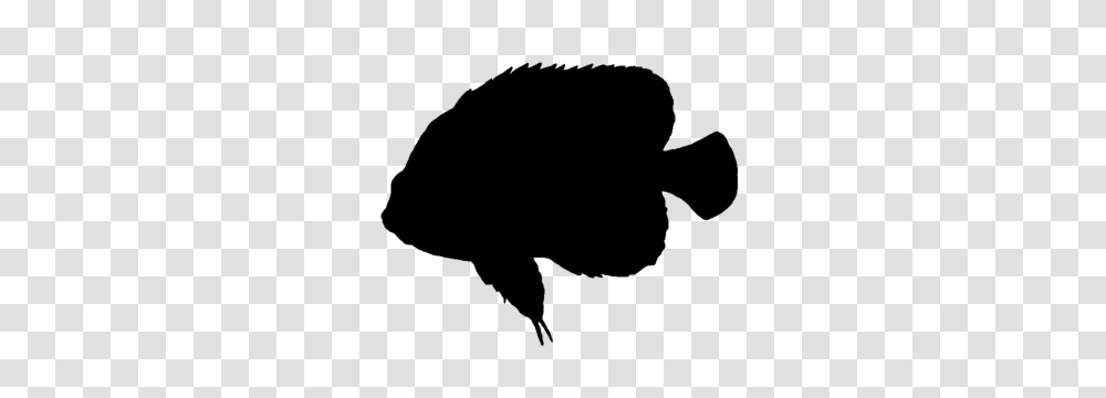 Angelfish Silhouette Angel Silhouette Stock Images Royalty Free, Gray, World Of Warcraft Transparent Png