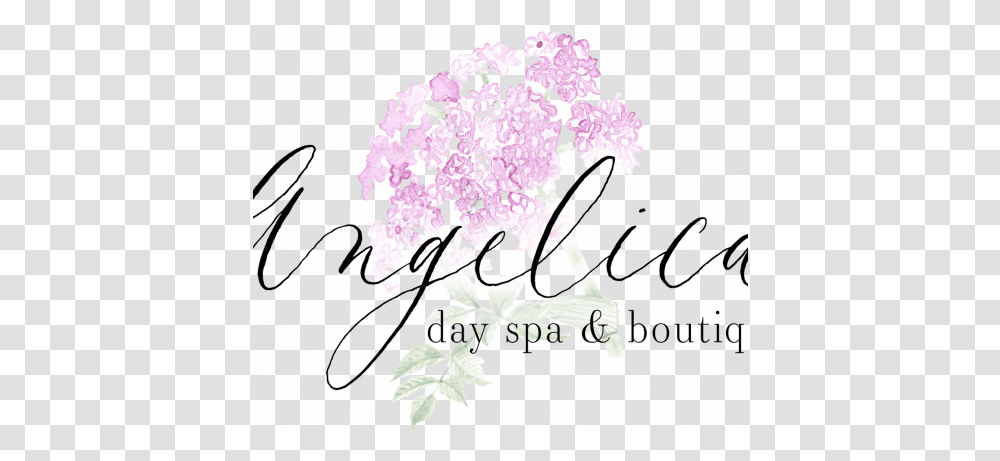 Angelica Day Spa Girly, Plant, Flower, Blossom, Cherry Blossom Transparent Png