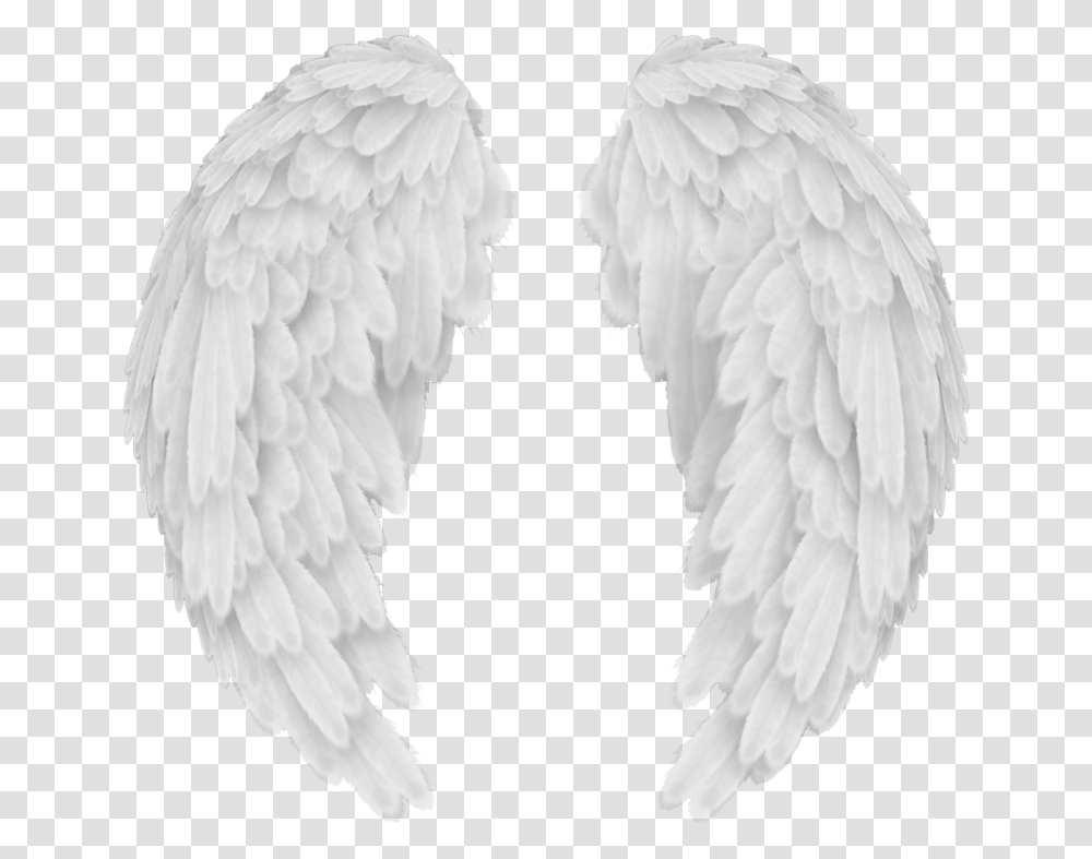 Angels In America Wings Background Angel Wings, Pillow, Cushion, Bird, Animal Transparent Png